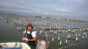 oyster farm